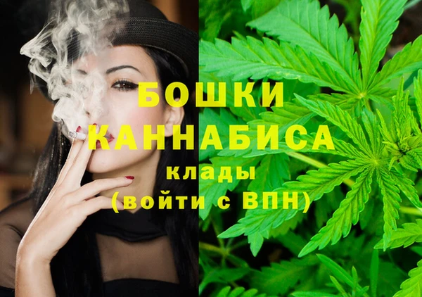 шишки Верхний Тагил