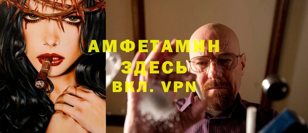 шишки Верхний Тагил