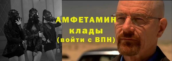 шишки Верхний Тагил
