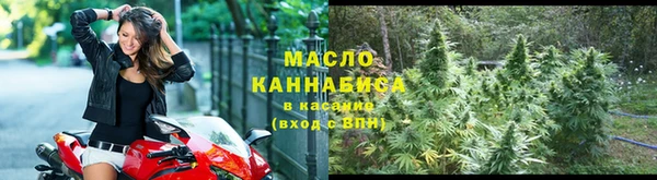 шишки Верхний Тагил