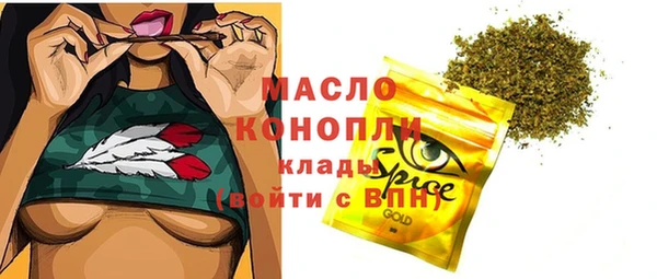шишки Верхний Тагил