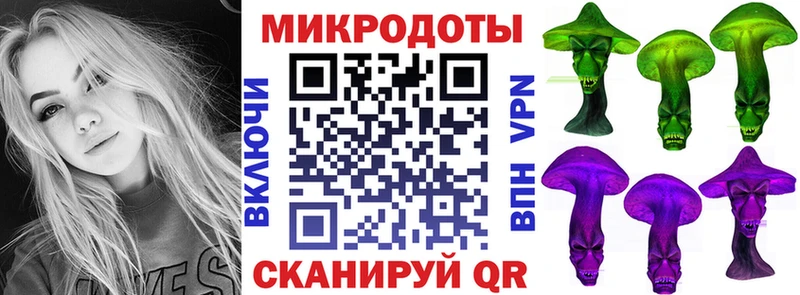 Псилоцибиновые грибы Psilocybine cubensis  Щёлково 